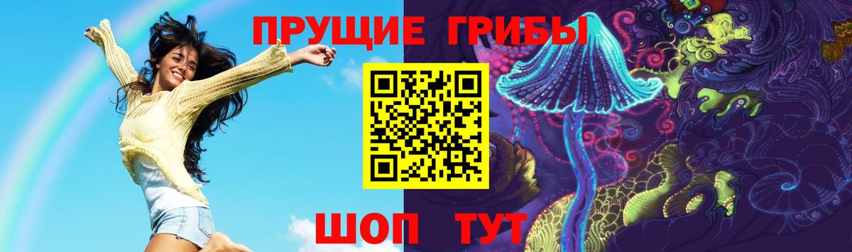 Псилоцибиновые грибы мицелий Янаул